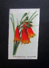 United tobacco 1913 for sale  STAFFORD
