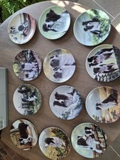 Royal worcester danbury for sale  COALVILLE