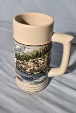 Coors rocky mountain for sale  Anderson