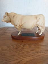 Beswick charolais bull for sale  BELPER