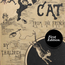 1879 cat children for sale  Tonawanda