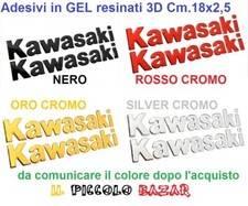 Adesivi 18x2 kawasaki usato  Zerbolo