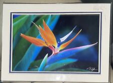 Bird paradise photograph for sale  Schertz