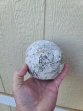 Huge hollow inch for sale  Forest City