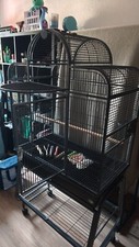 Vogelkäfig groß gußeisern gebraucht kaufen  Berlin