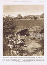 Crowhurst otter hounds for sale  GLASGOW