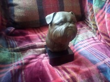 Griffon bruxellois bust for sale  KILMARNOCK