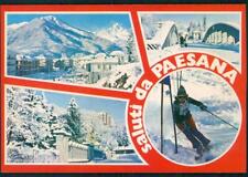 Cuneo paesana saluti usato  Gambolo