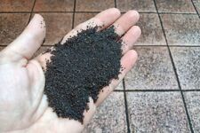 Sabbia cenere vulcanica usato  Acireale