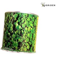 Dichondra repens sementi usato  Modugno