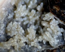 Montmorillonit limberg kaisers gebraucht kaufen  Oberstenfeld