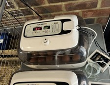 Rcom king suro for sale Rcom king suro for sale  HAILSHAM