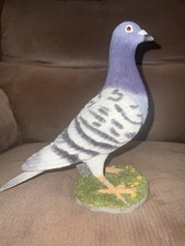 Realistic racing pigeon for sale  Woodside