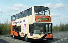 Brighton hove dennis for sale  SCARBOROUGH