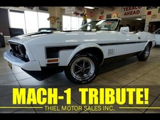 1973 mustang mach 1 for sale 1973 mustang mach 1 for sale De Witt
