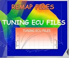 Ecu files remap usato  Italia