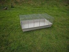 Large indoor guinea for sale  NEWTOWN
