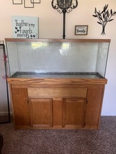Gallon brown fish for sale  Avon