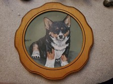 Adorable pembroke welsh for sale  Huntingtown