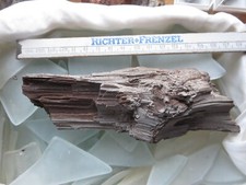 Fossiles verkieseltes holz gebraucht kaufen  Eschwege