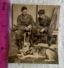 017 WW2 Orig. Uniformes foto soldados alemães cachorro lobo 2,5 x 2,5 polegadas comprar usado  Enviando para Brazil