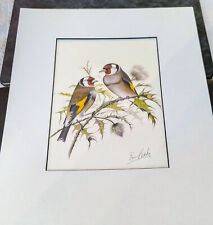 Picture gold finches for sale  BLACKPOOL