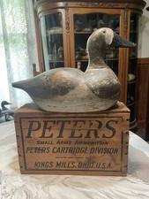 Canvasback hen gus for sale  Petaluma
