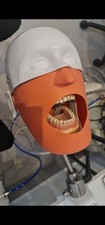 Manikin head magnetic for sale  OXFORD