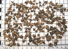 Pleistocene ice age d'occasion  Expédié en Belgium