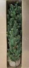 Sullivans pine christmas for sale  Belfast