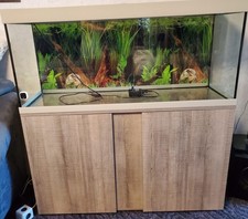 Aquariumbecken 240 unterschran gebraucht kaufen  Hamburg