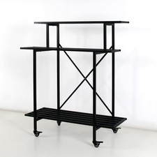 Tier sturdy plant for sale  Seattle