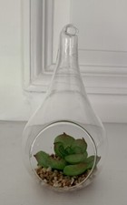 Faux succulent plant for sale  Barrington