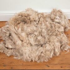 Alpaca wool raw for sale  BINGLEY