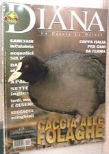 Diana 2002 caccia usato  Salerno