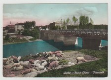 Asola mantova fiume usato  Treviso