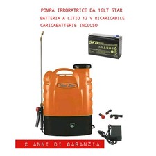 Nebulizzatore pompa 16lt usato  San Giovanni Rotondo