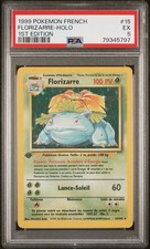 Carte pokémon holo d'occasion  Le Palais-sur-Vienne