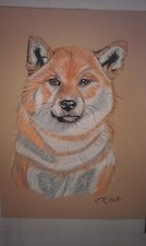 Portrait chien shiba d'occasion  Villebois-Lavalette