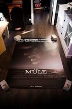 The mule clint d'occasion  Montpellier-