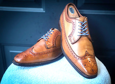 Allen edmonds larchmont for sale  Austin