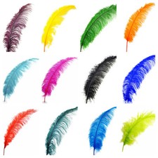 Ostrich spads plume for sale  Flushing