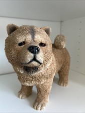 Large chowchow dog usato  Spedire a Italy
