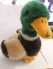 Peluche anatra germano usato  Savigliano
