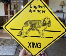 New english springer for sale  Shelbyville