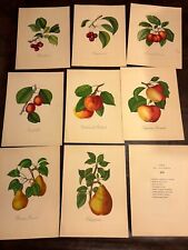 Vintage 1950s art for sale  Bellmore