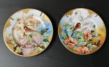 Paire assiette porcelaine d'occasion  Gerbéviller