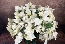 Poinsettia silk flower for sale  Saint Paris