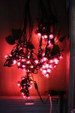 Led lichterkette weintraube gebraucht kaufen  Neu-Ulm