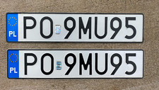 Pair poland license for sale  Manville